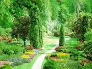 cold climate garden